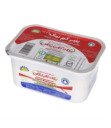 پنير 400 گرم كم نمك پگاه