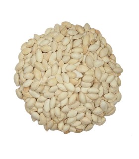 تخمه كدو اعلاء درجه 1