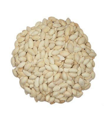 تخمه كدو اعلاء درجه 1