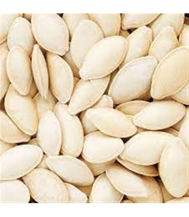 تخمه كدو اعلاء درجه 1