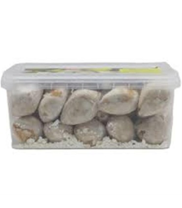 شيريني 500 گرم قطاب كره اي كشوين