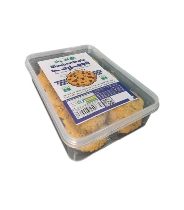 شيريني رژيمي 250 گرم كوكي زنجبيل چيا اكولا