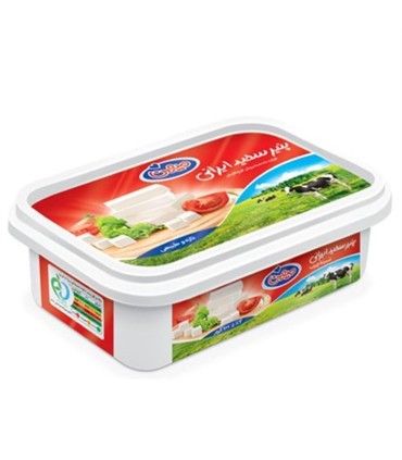 پنير 100 گرم سفيد ميهن