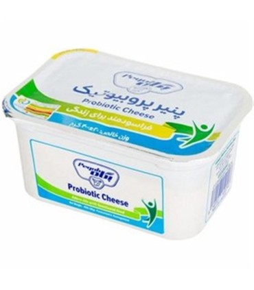 پنير 400 گرم پروبيوتيك پگاه
