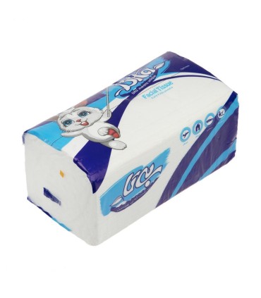 دستمال كاغذي اقتصادي 250برگ دولا طرح دار بيتا