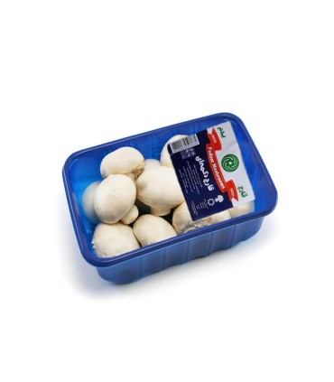 قارچ 400 گرم پدم