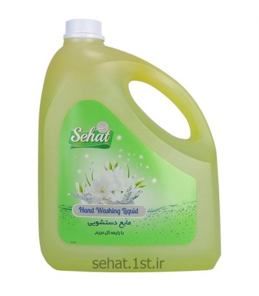 مايع دستشويي 4 ليتر گل مريم صحت
