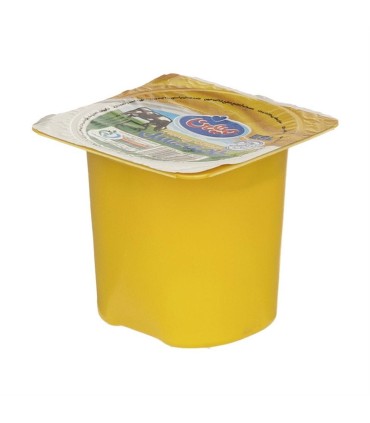 خامه 100 گرم عسلي ميهن