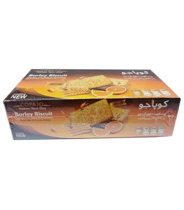 بيسكويت جو 500 پذيرايي گرم كنجد و پرتقال كوپا