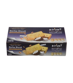 بيسكويت جو 500 گرم پذيرايي نارگيلي كوپا
