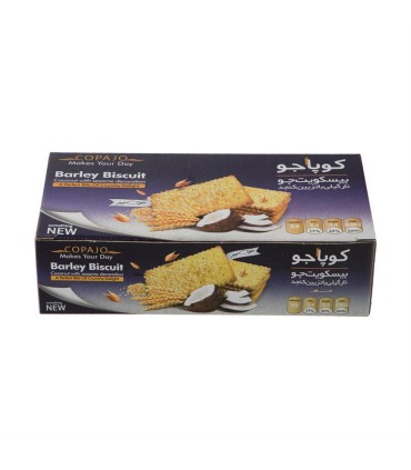 بيسكويت جو 500 گرم پذيرايي نارگيلي كوپا