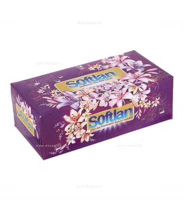 دستمال كاغذي جعبه اي 300 برگ باغ بهشت سافتلن