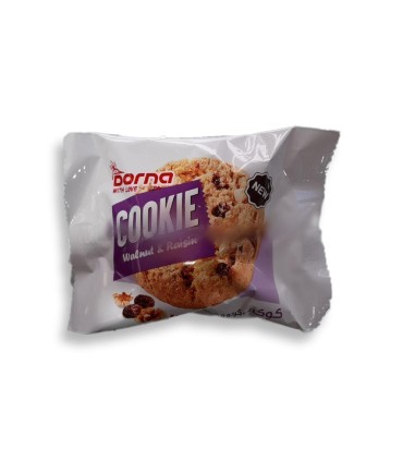 كلوچه كوكي كشمشي درنا