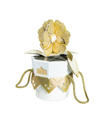 شكلات كادويي سروناز باراكا