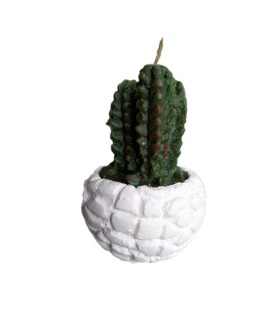 شمع فانتزي طرح كاكتوس