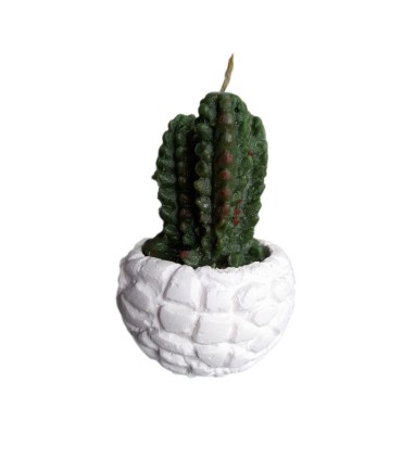 شمع فانتزي طرح كاكتوس