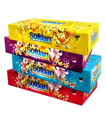 دستمال كاغذي جعبه اي 100 برگ دولا سافتلن