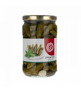 خيارشور 660 گرم ممتاز بيژن