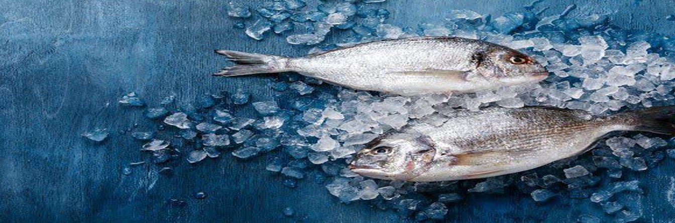 ماهی منجمد